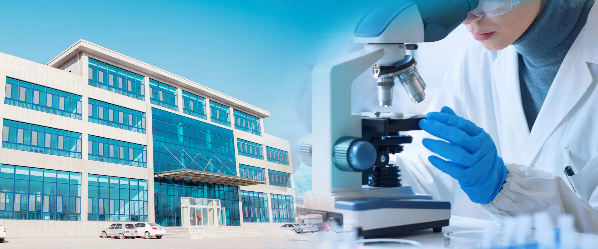 Proizvajalec cinkovega borata